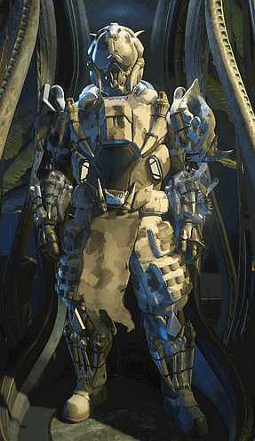 Ana Armor Endro